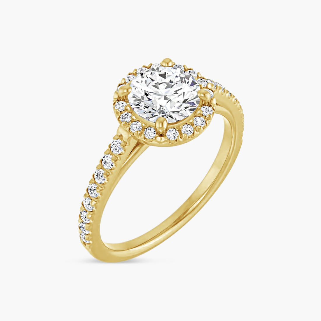 The Halo Brielle