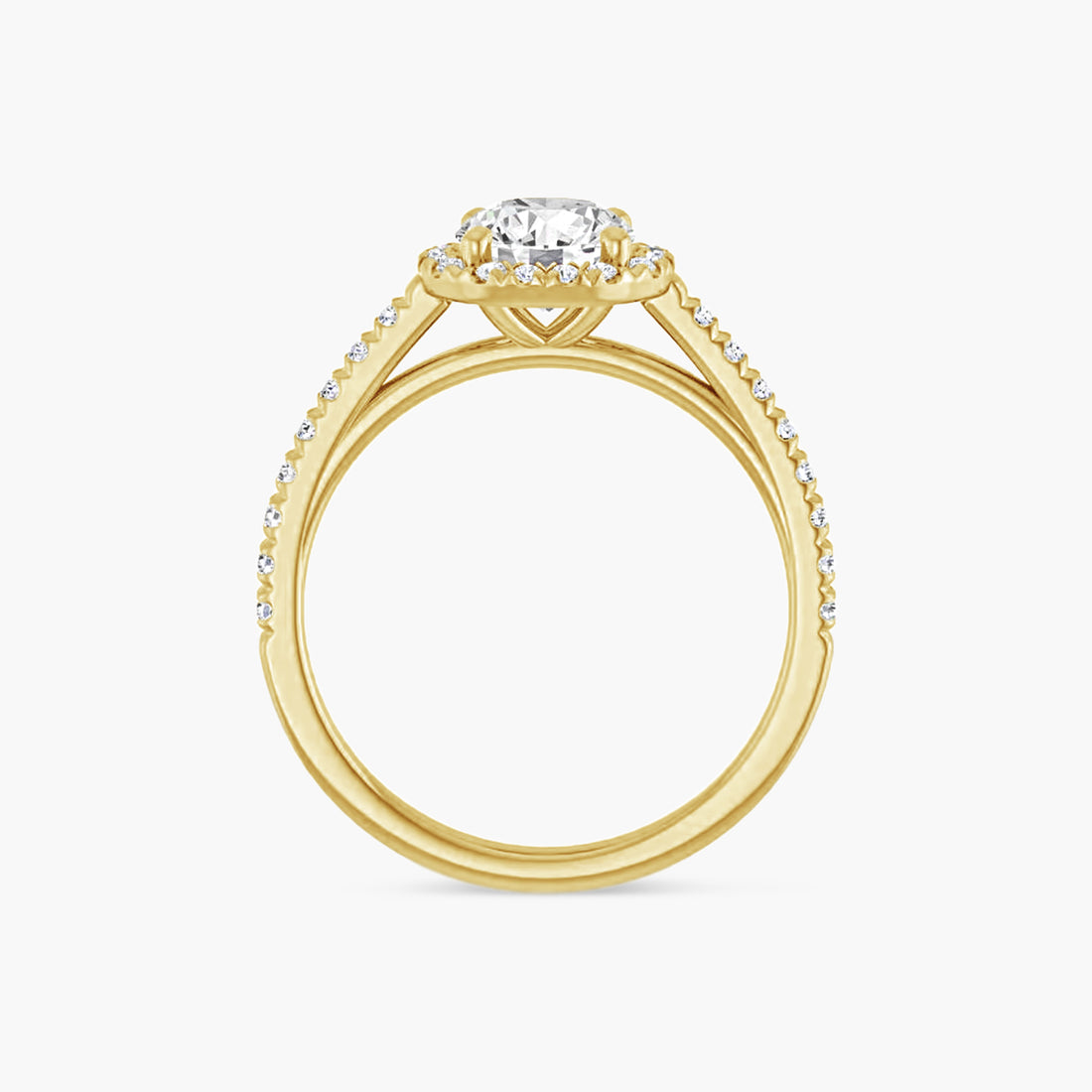 The Halo Brielle