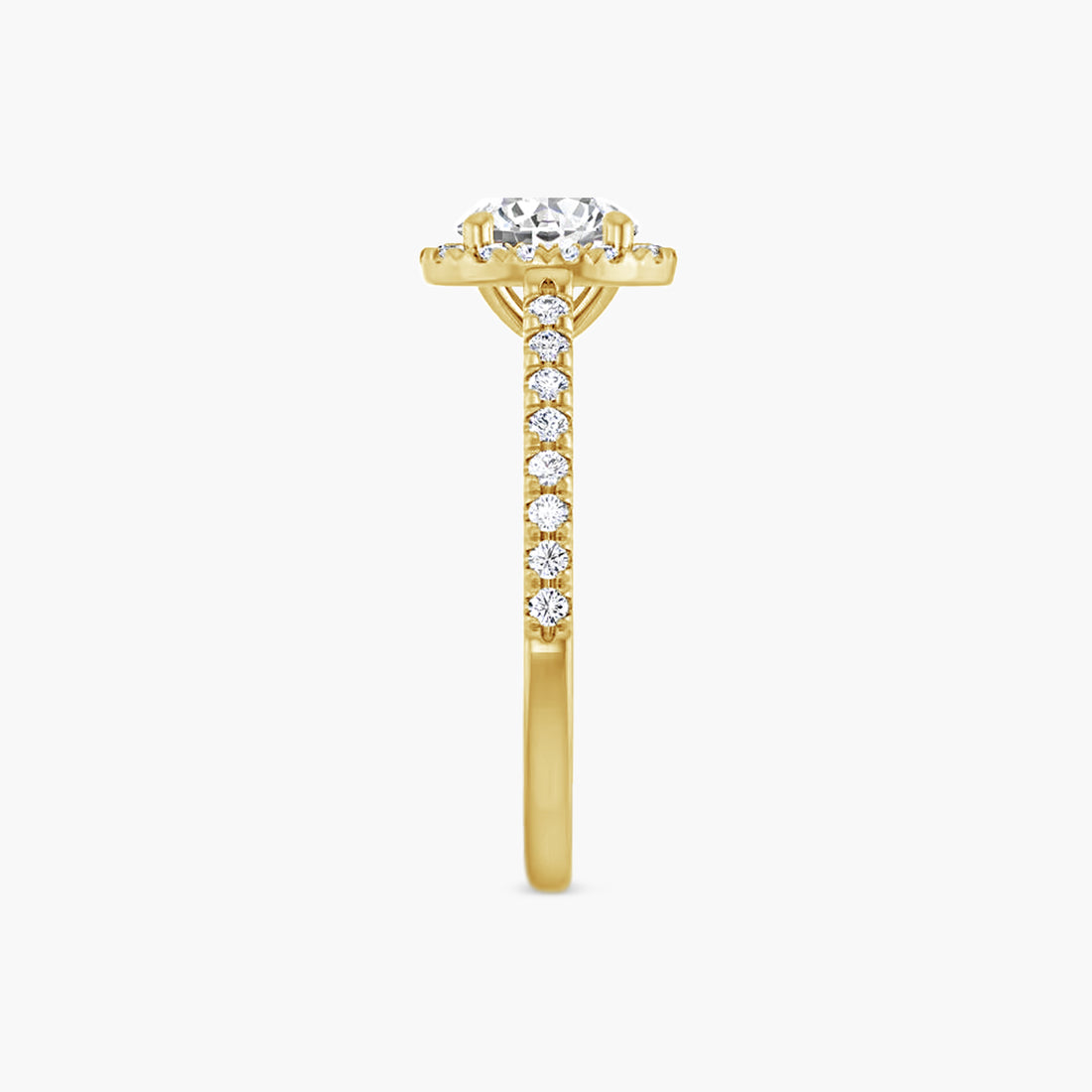 The Halo Brielle