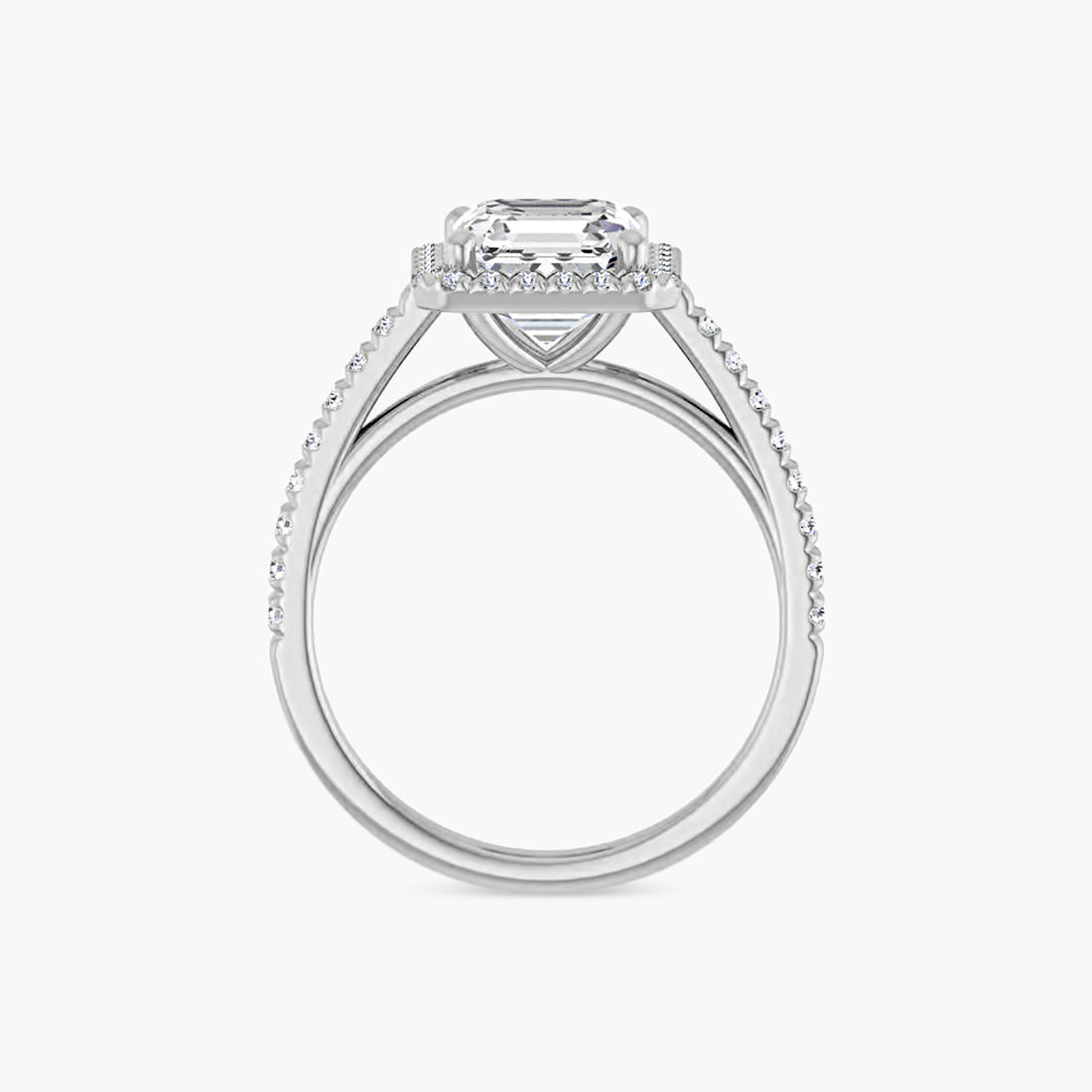 The Halo Brielle