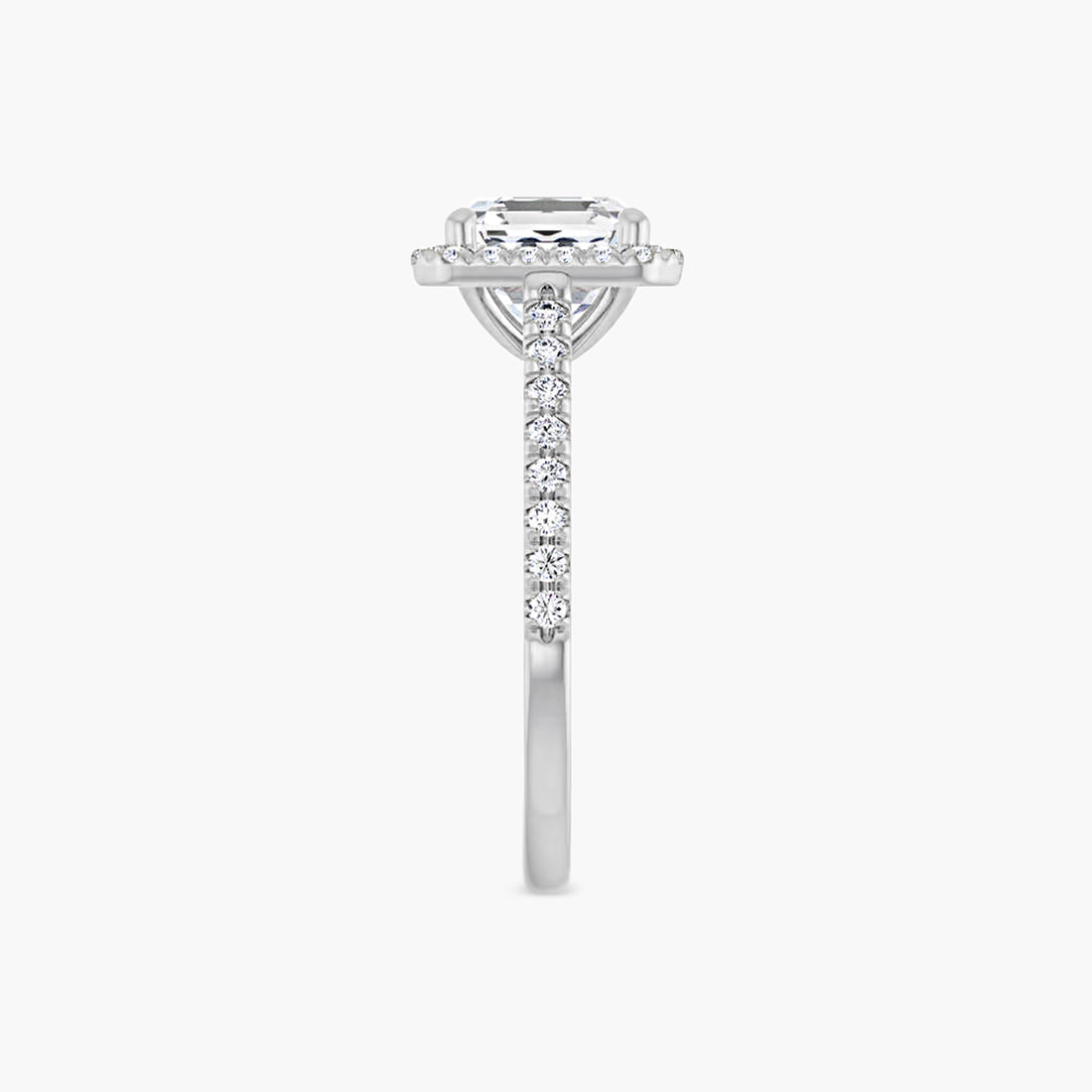The Halo Brielle