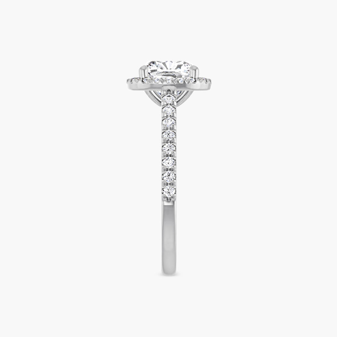 The Halo Brielle