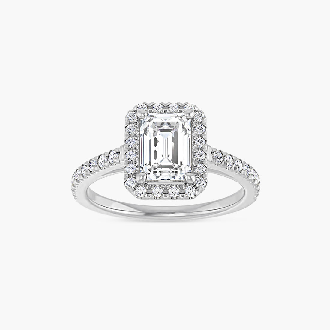 The Halo Brielle