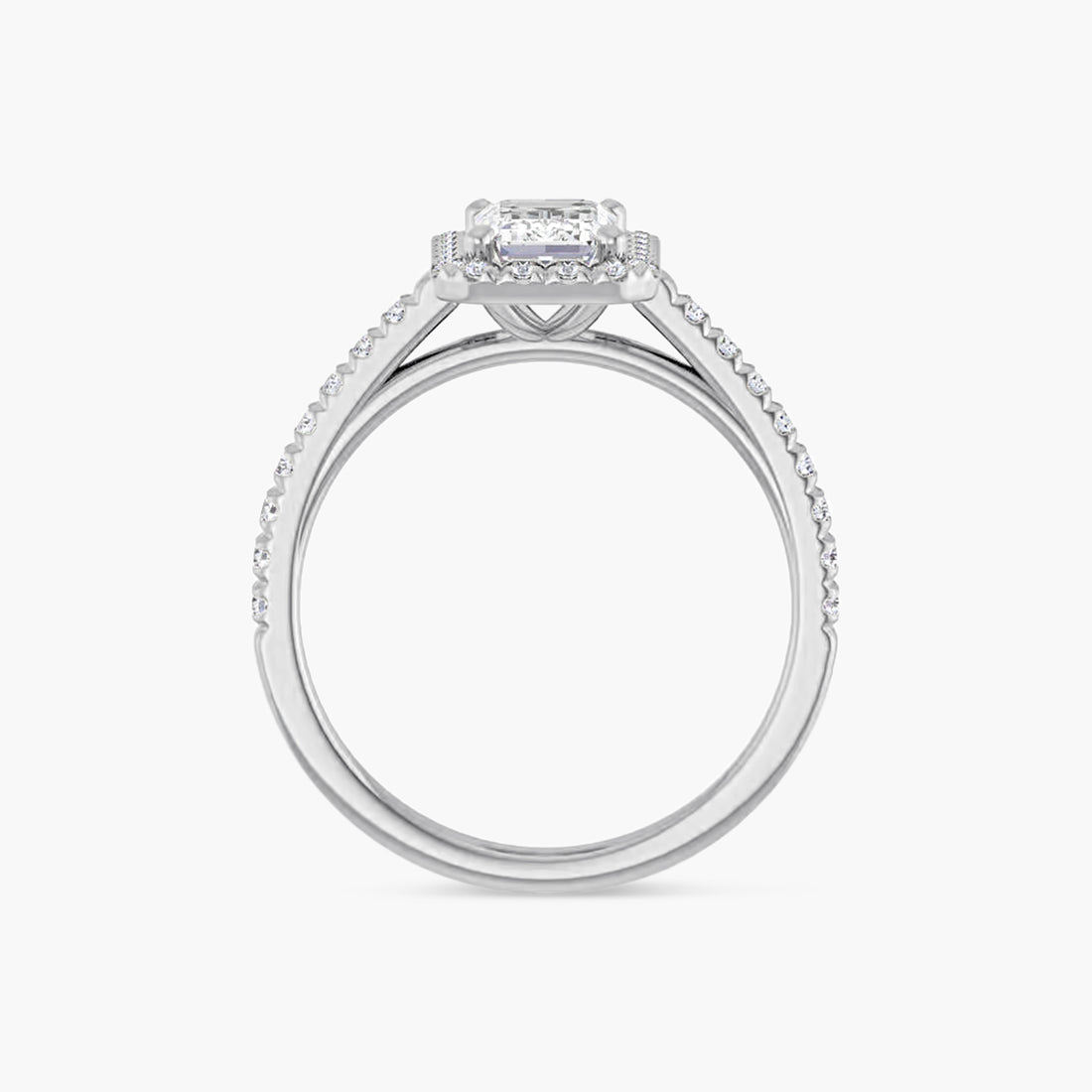 The Halo Brielle
