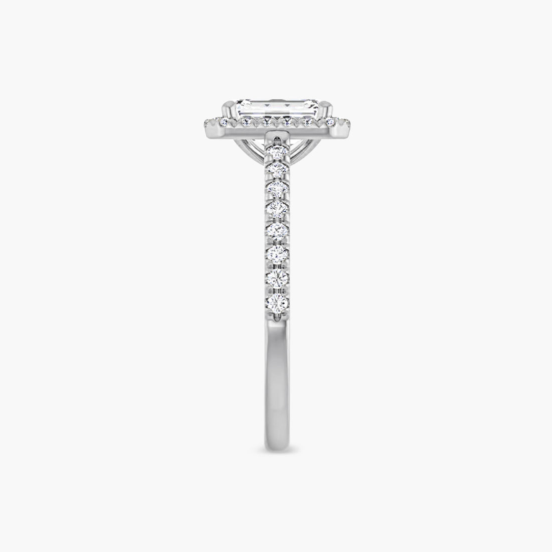 The Halo Brielle