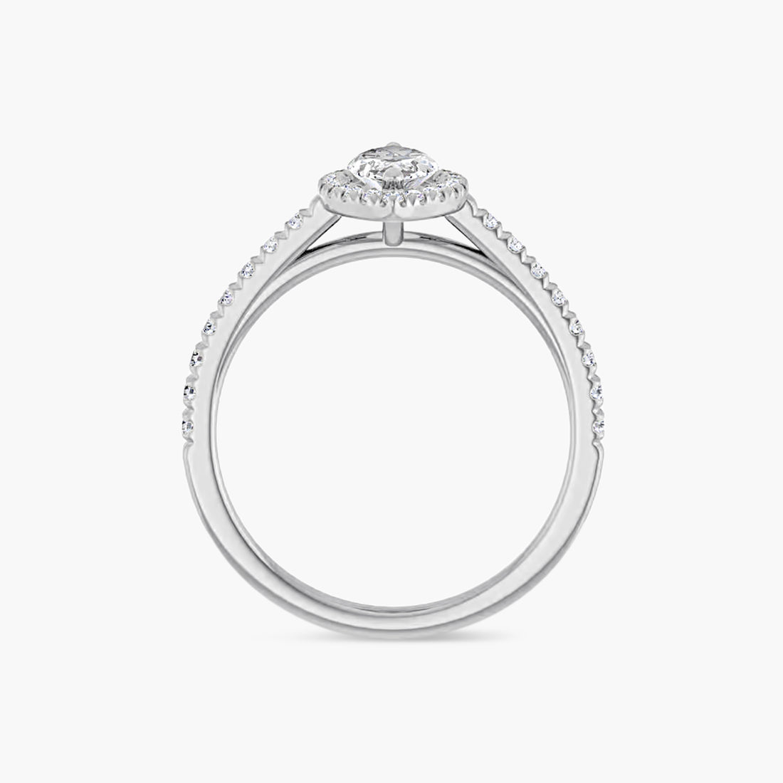 The Halo Brielle