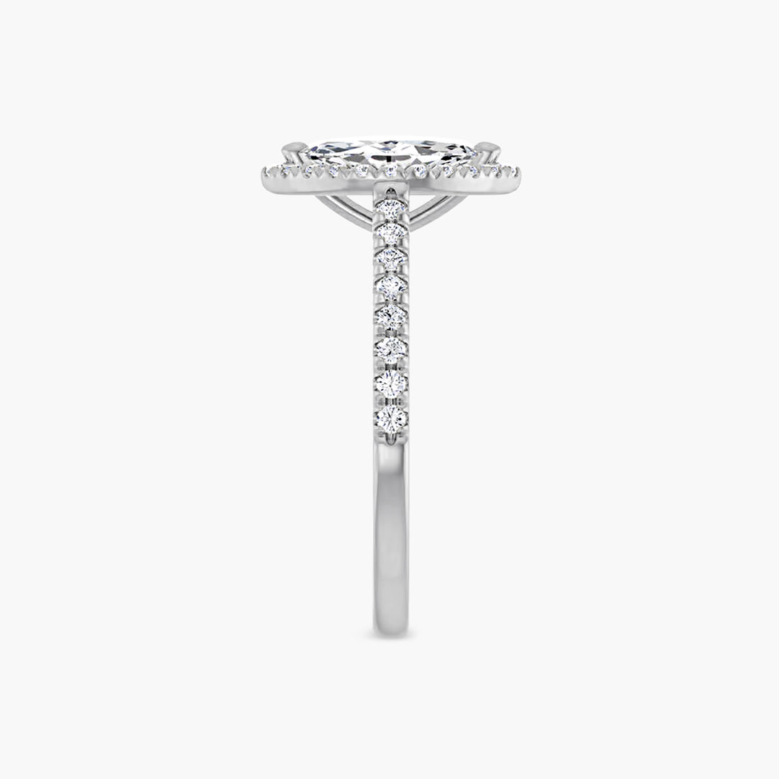 The Halo Brielle