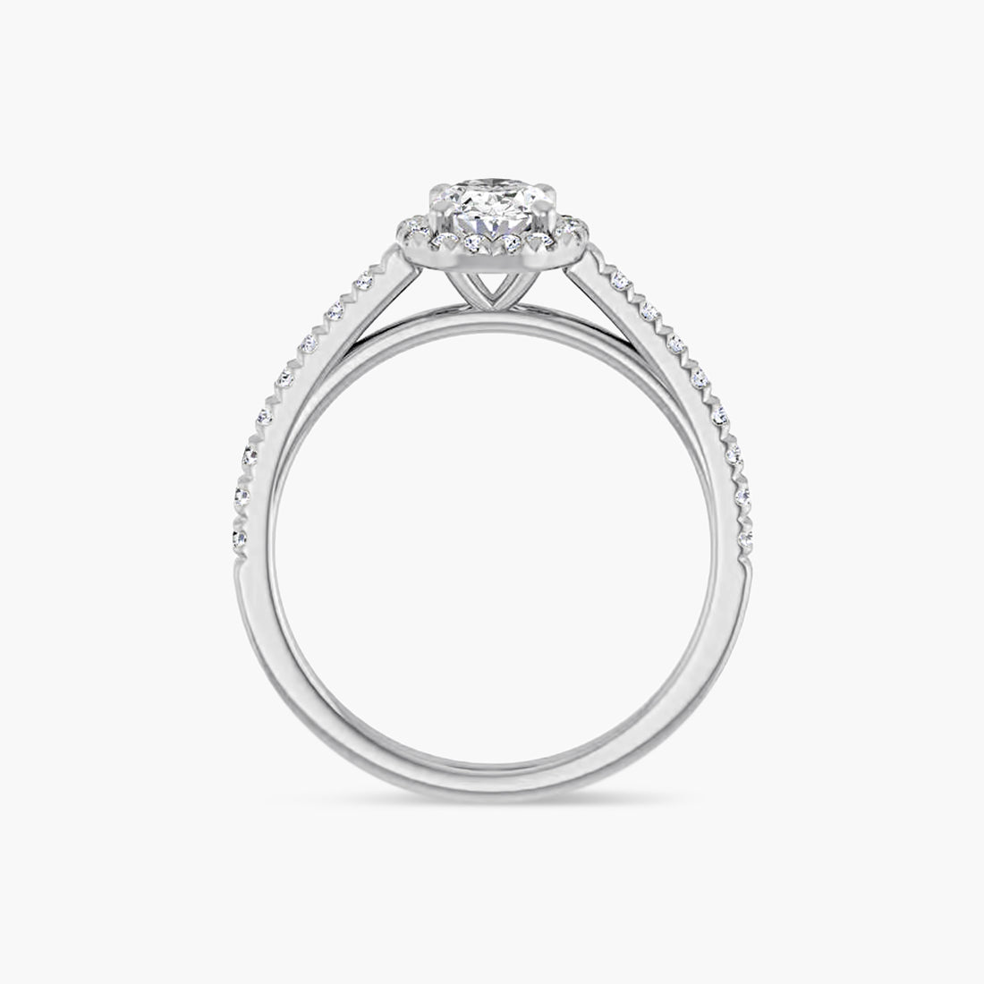 The Halo Brielle