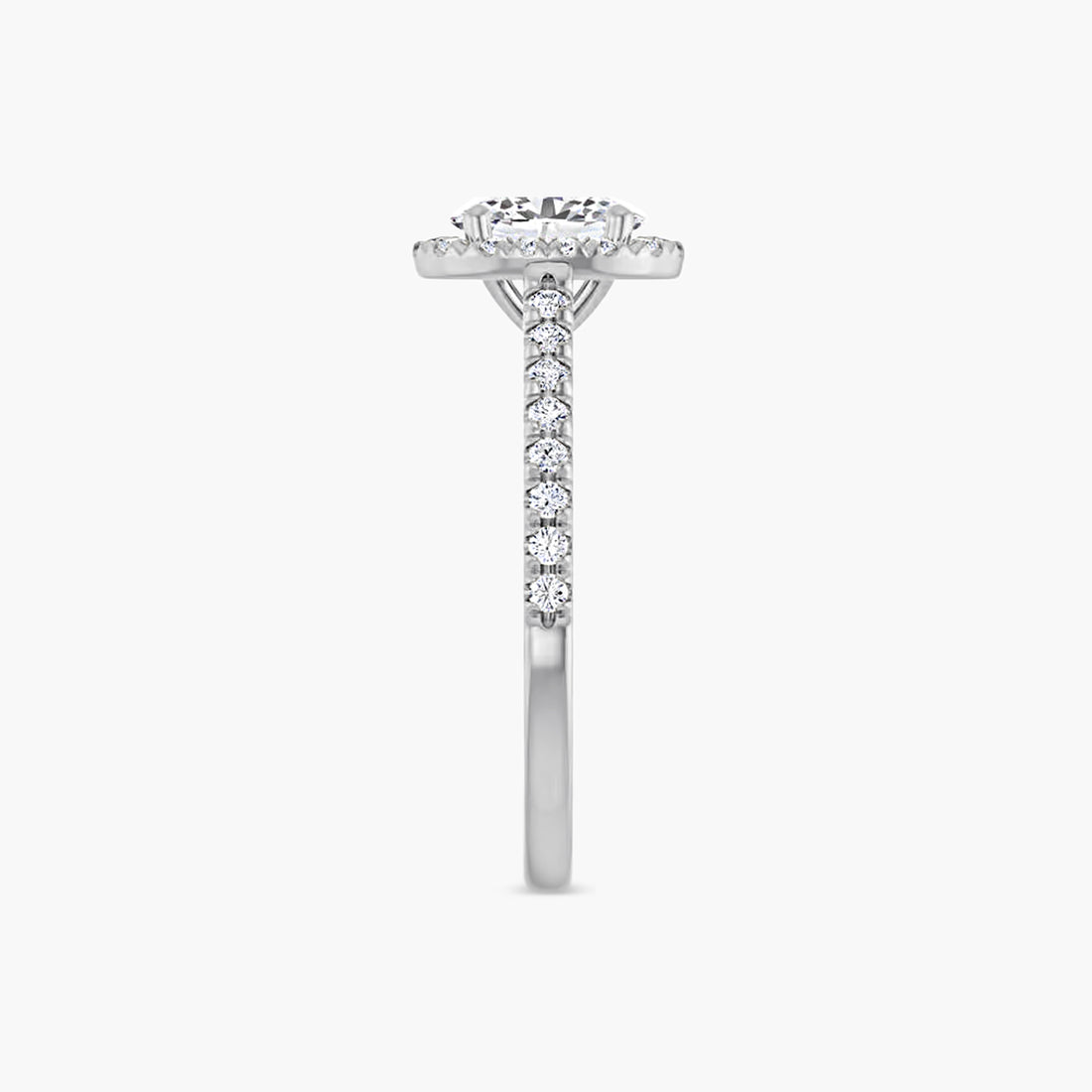 The Halo Brielle