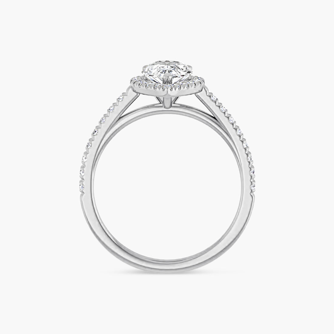 The Halo Brielle