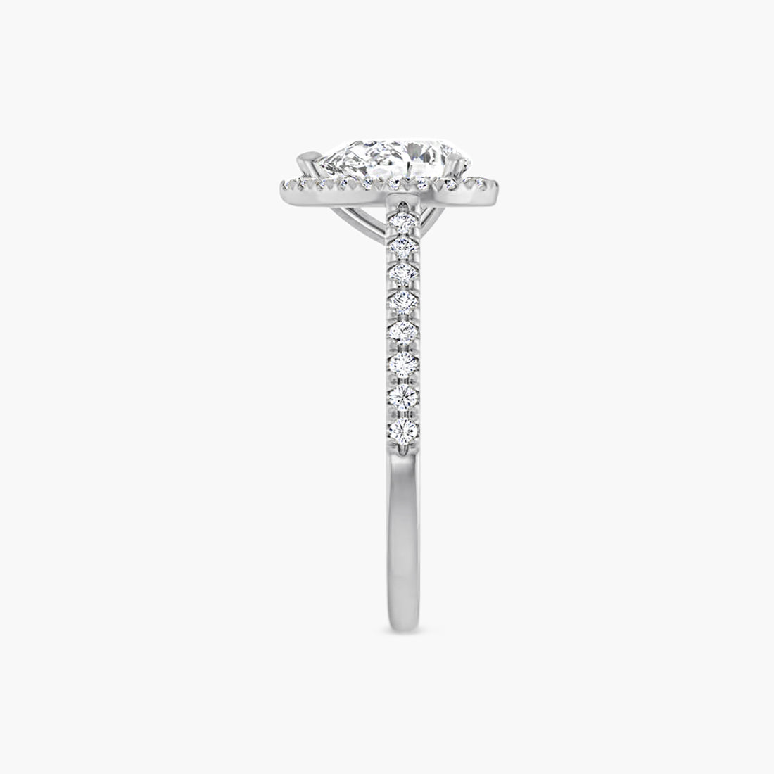 The Halo Brielle