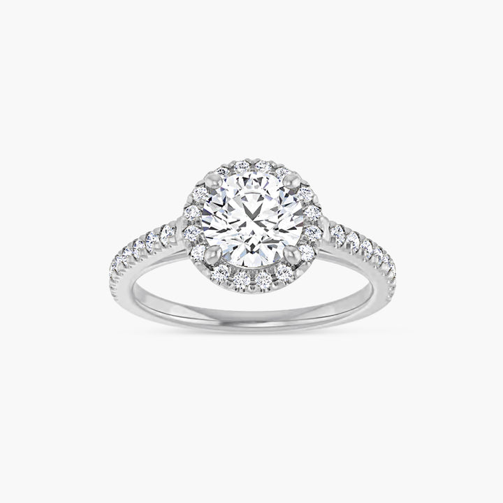 The Halo Brielle