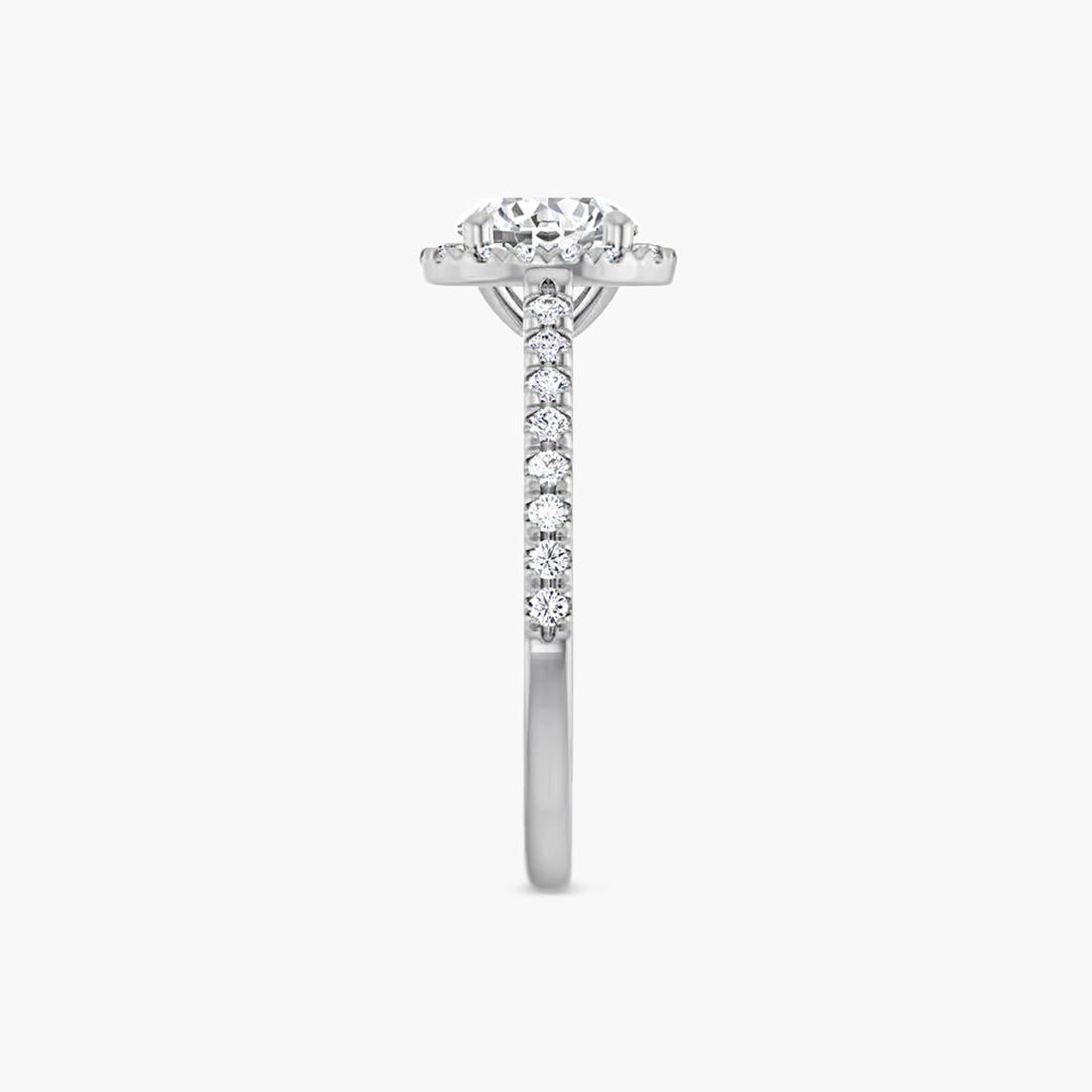 The Halo Brielle