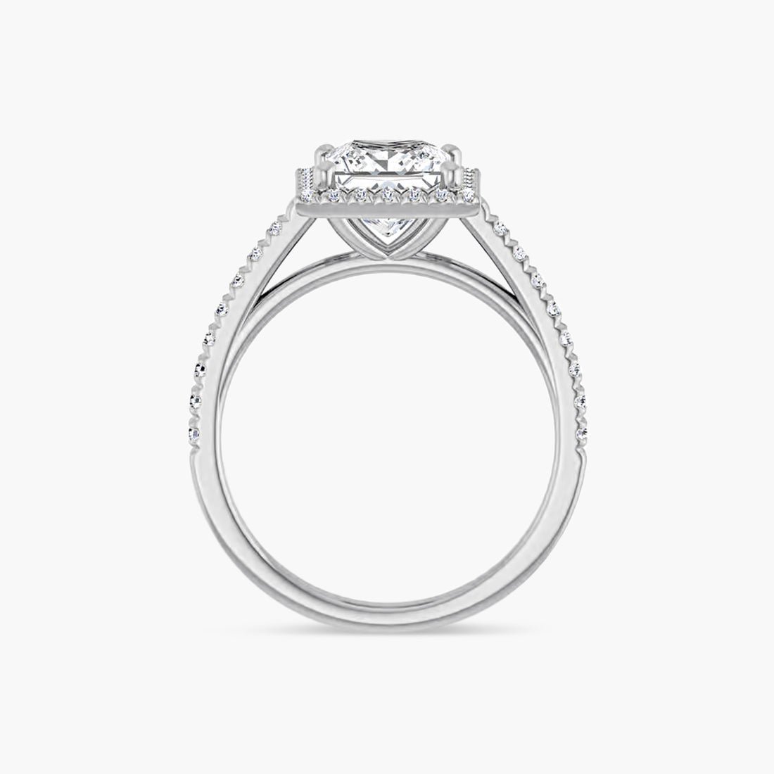 The Halo Brielle