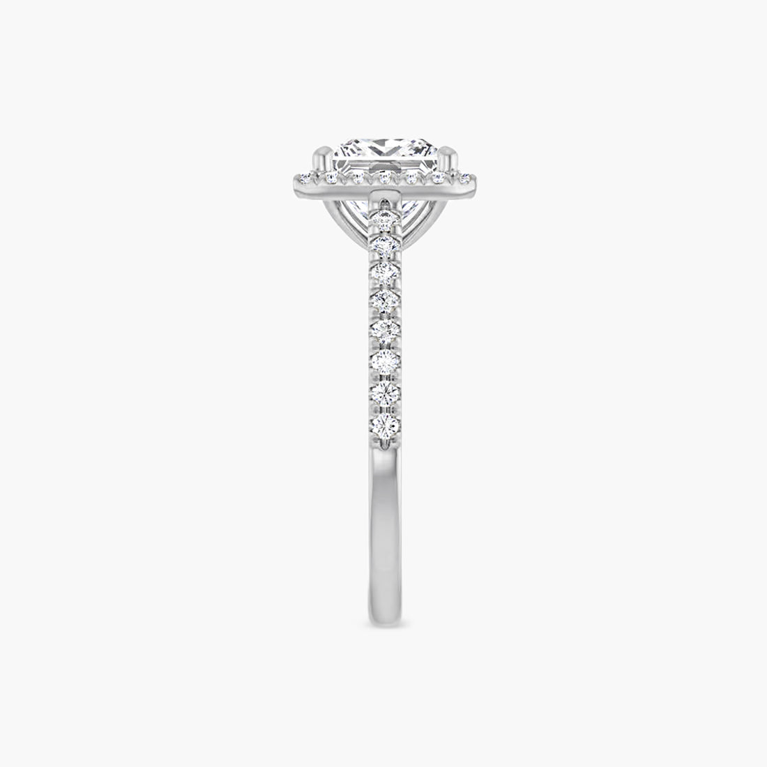 The Halo Brielle