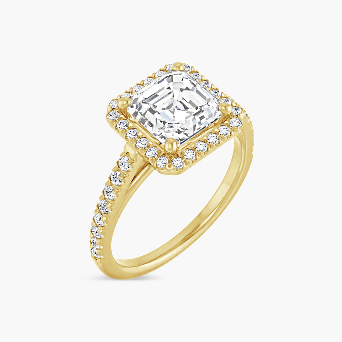 The Halo Brielle
