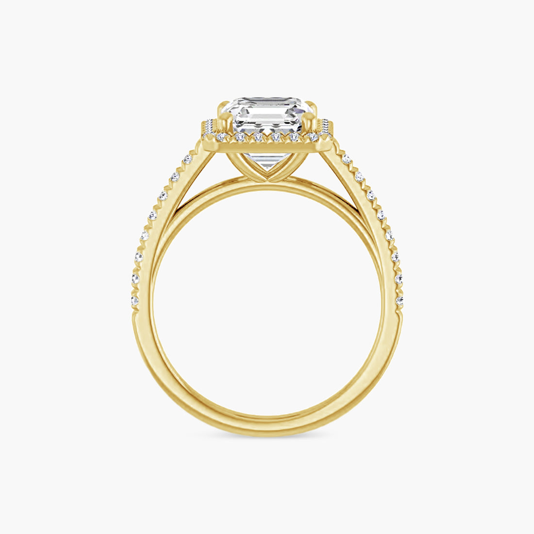 The Halo Brielle