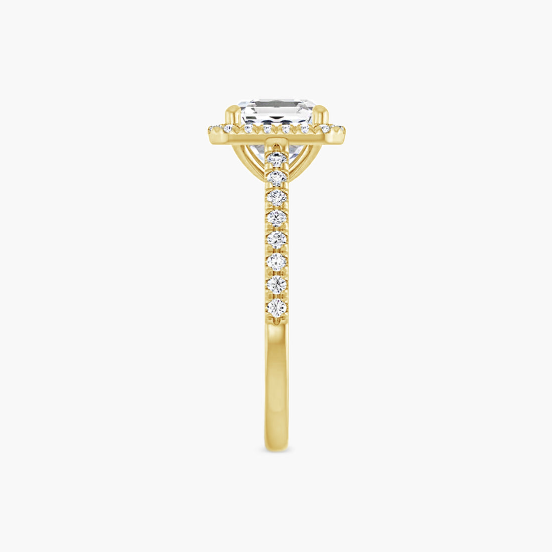 The Halo Brielle
