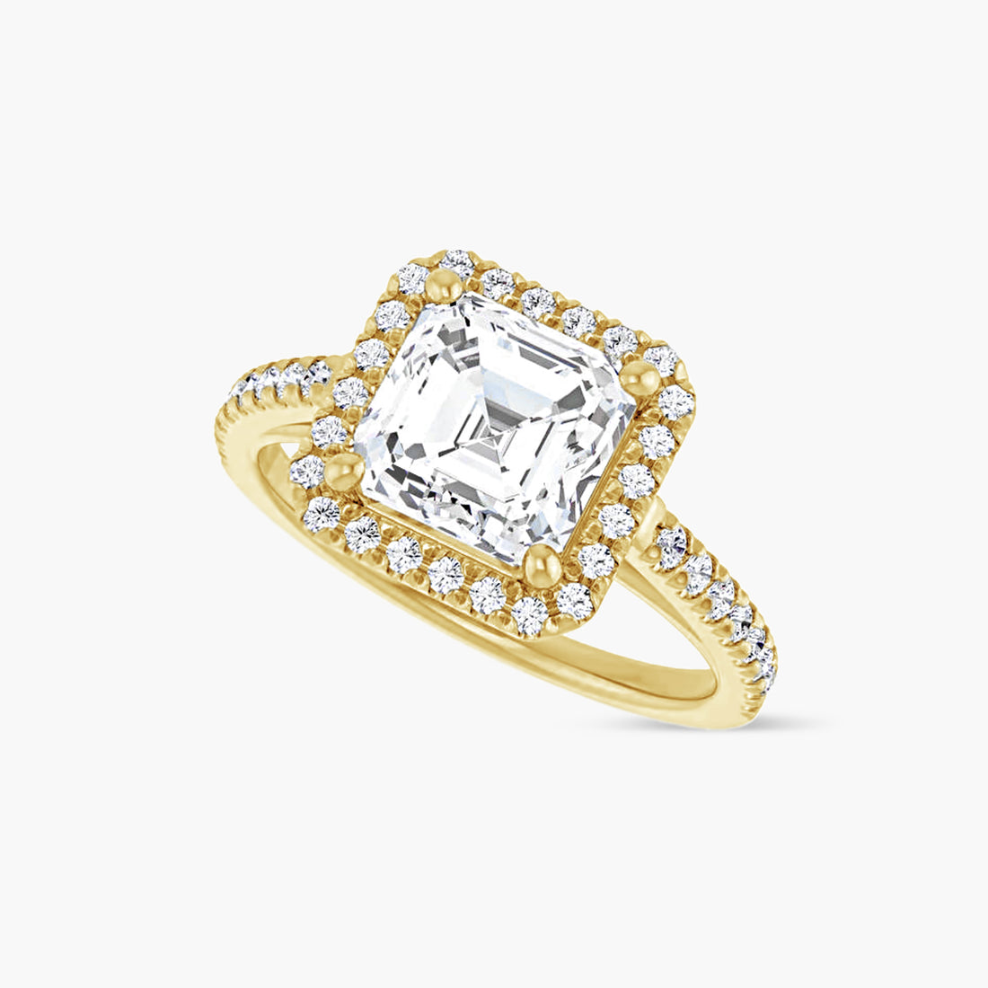 The Halo Brielle