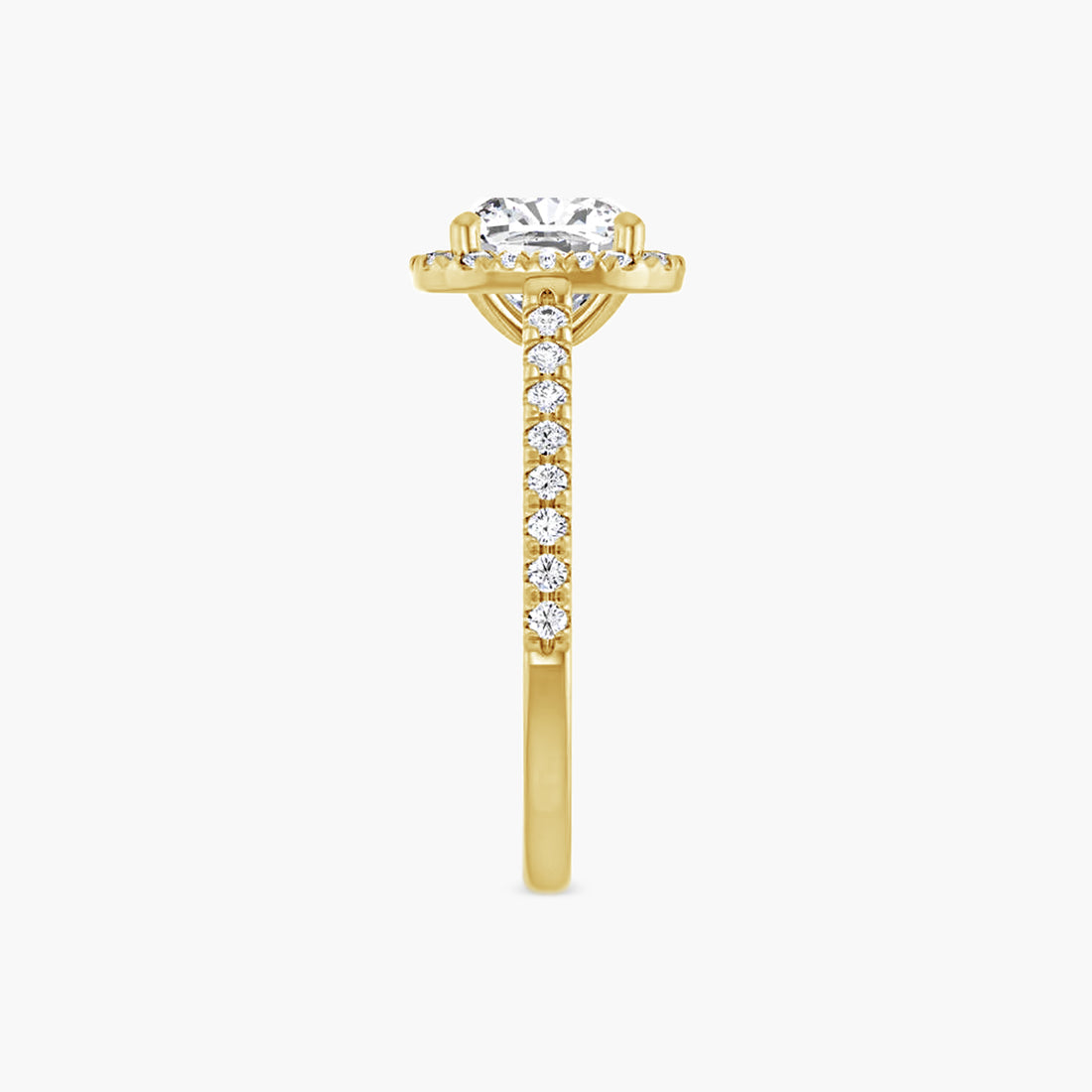 The Halo Brielle