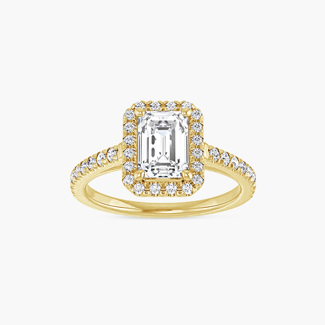 The Halo Brielle