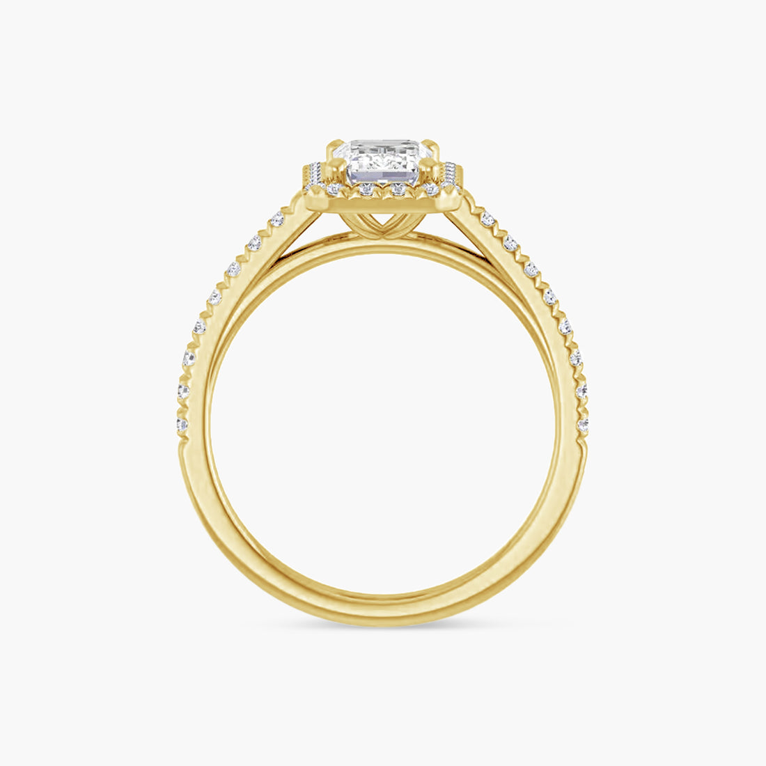 The Halo Brielle