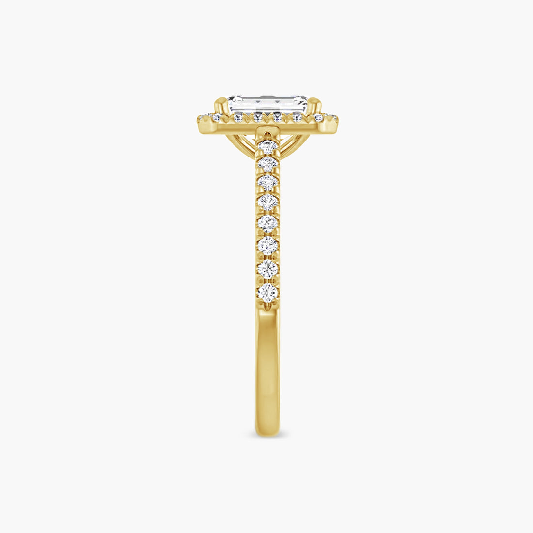 The Halo Brielle