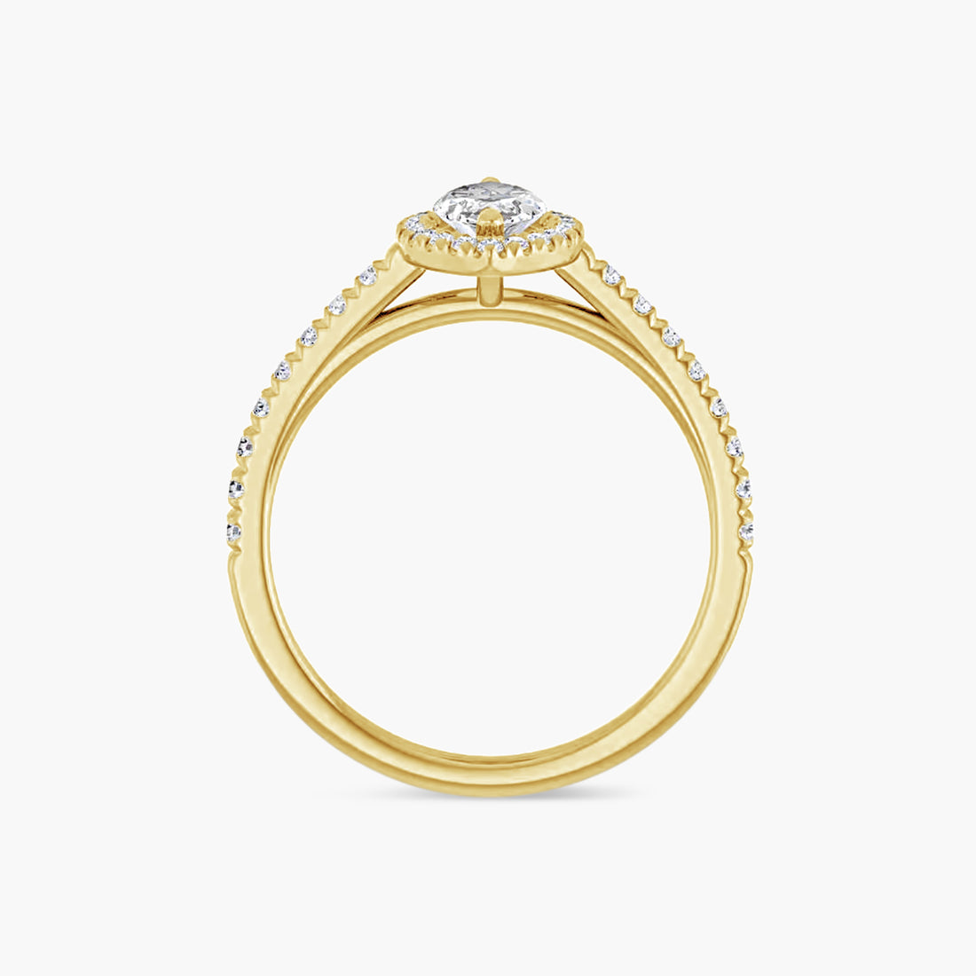 The Halo Brielle