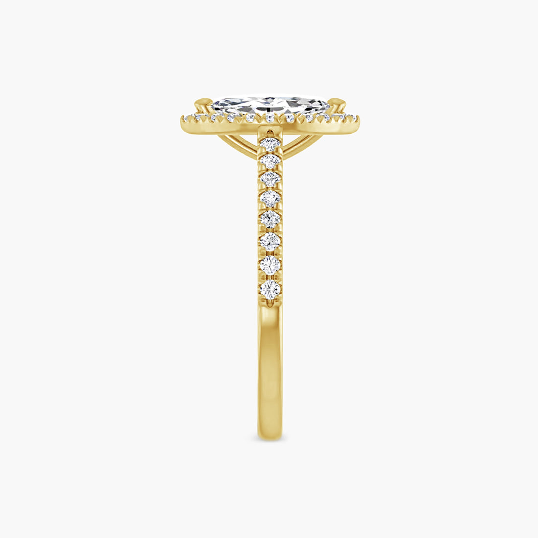 The Halo Brielle
