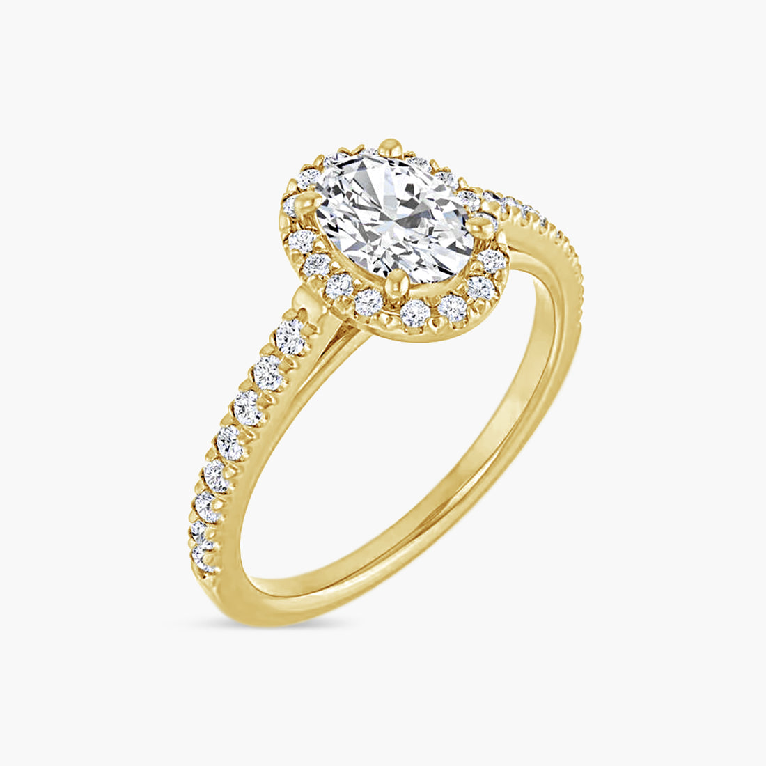 The Halo Brielle