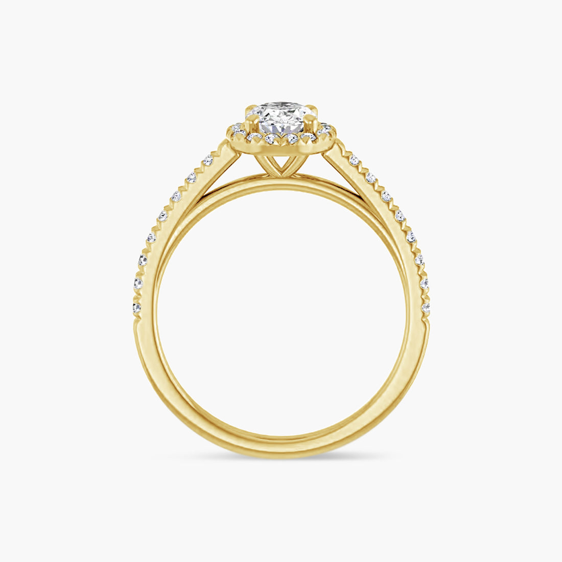 The Halo Brielle