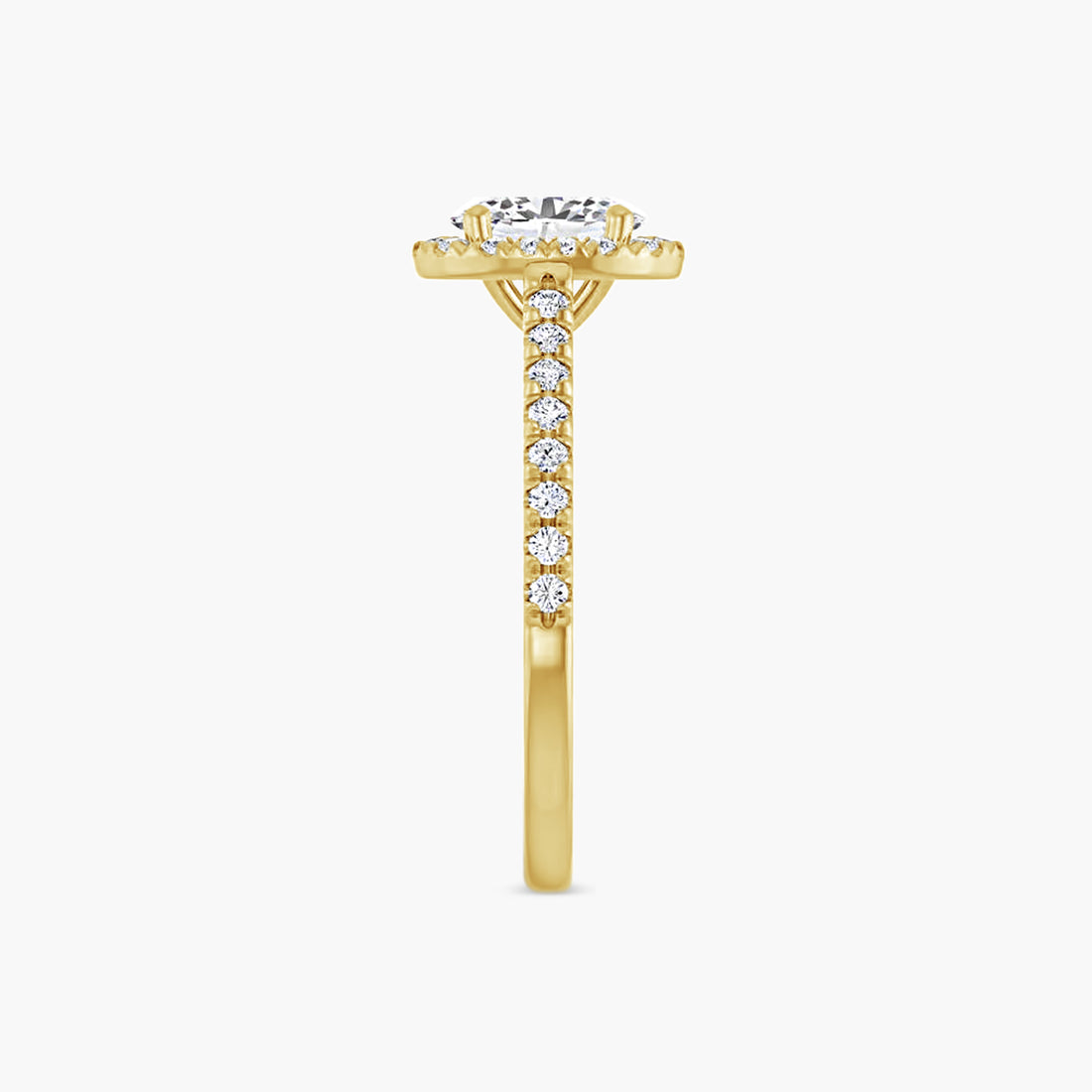 The Halo Brielle