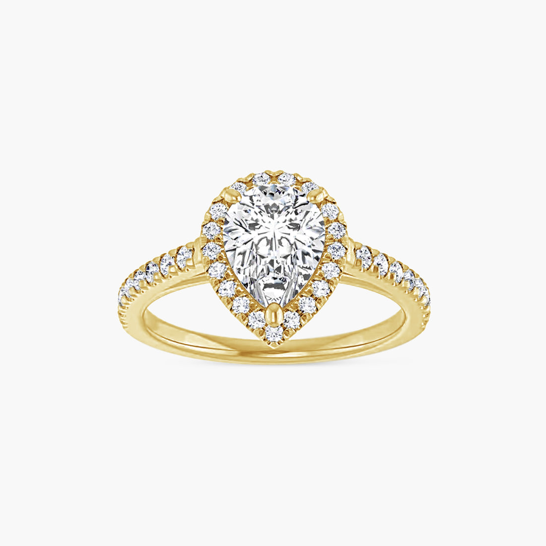 The Halo Brielle