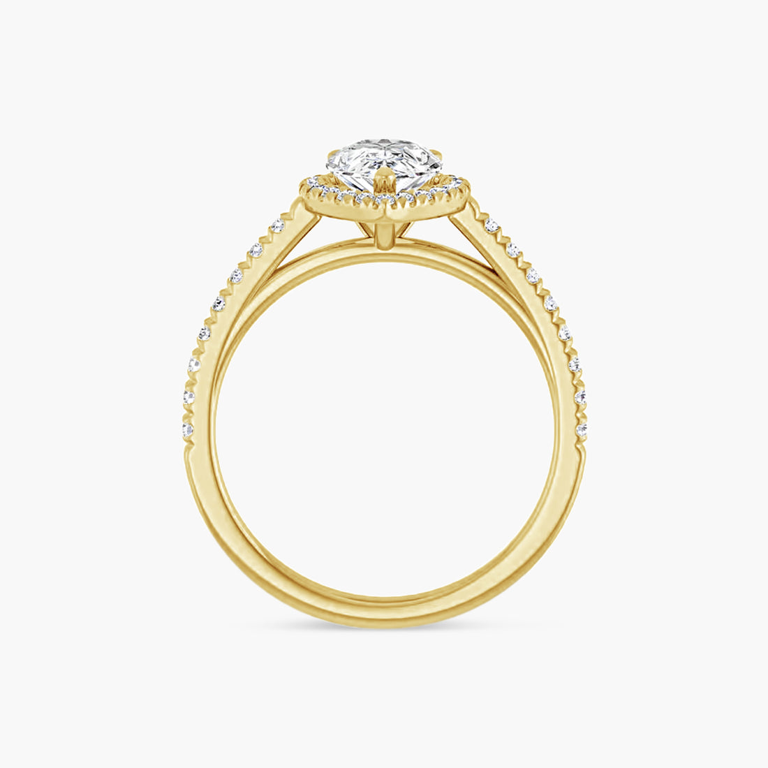 The Halo Brielle