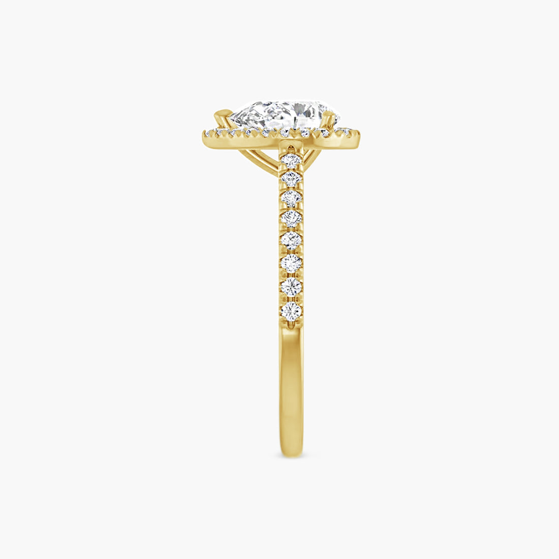 The Halo Brielle