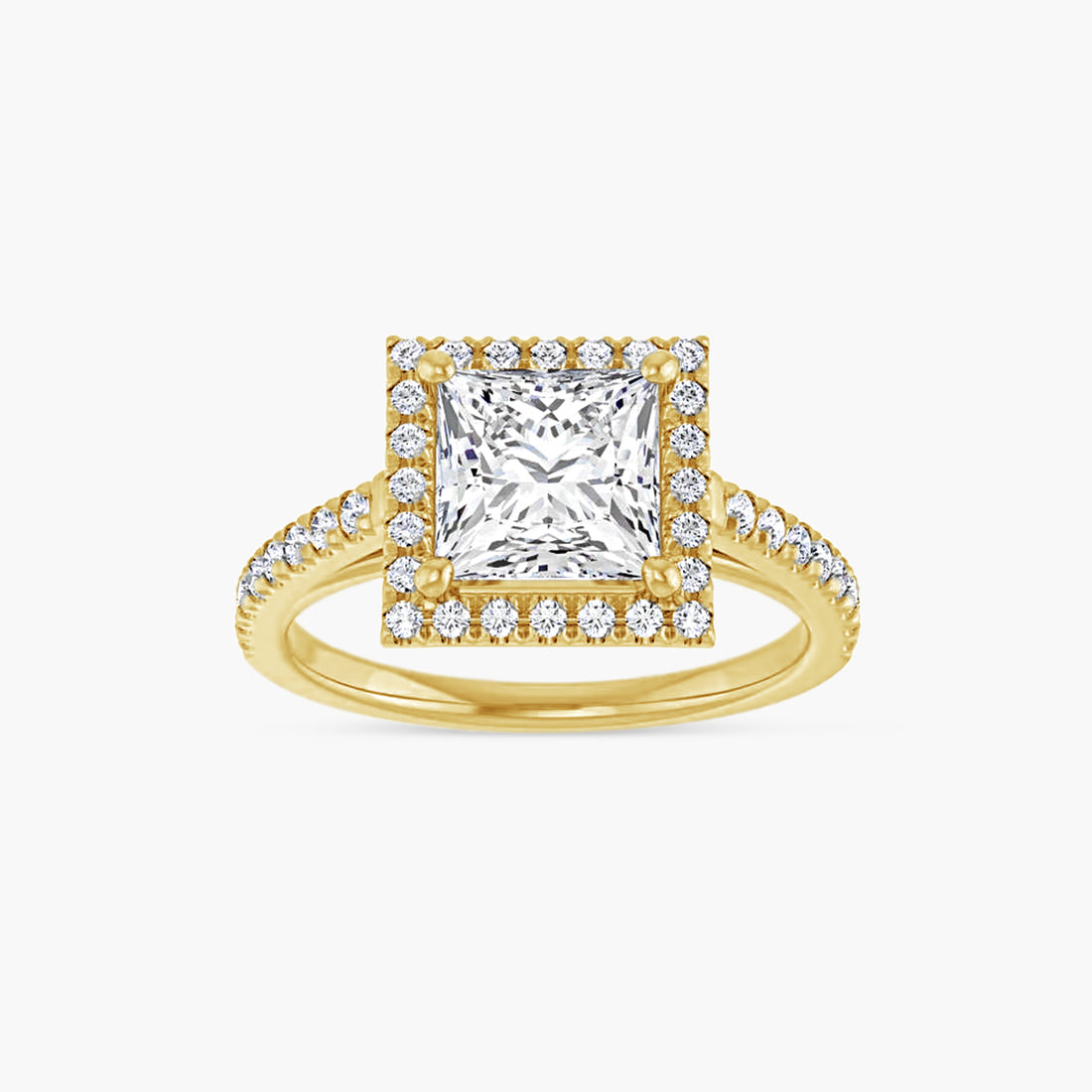 The Halo Brielle