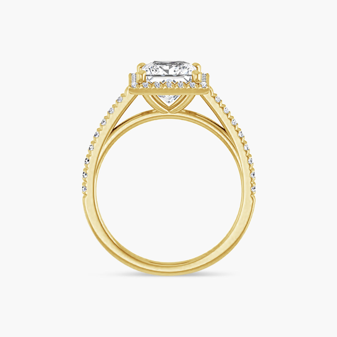 The Halo Brielle
