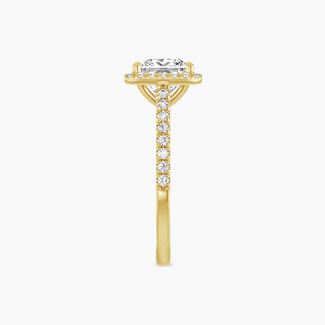 The Halo Brielle