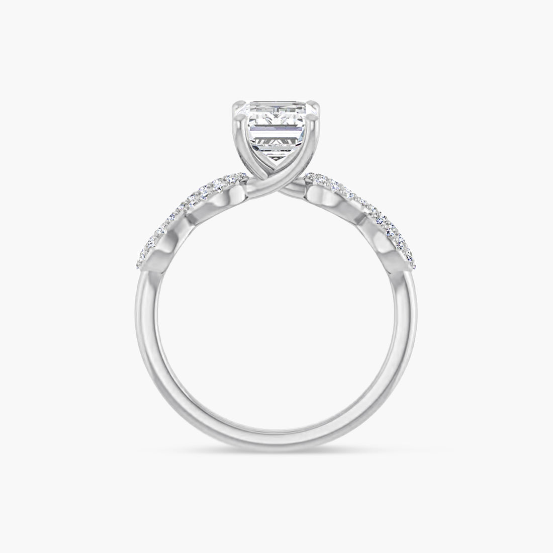 The Accented Junia