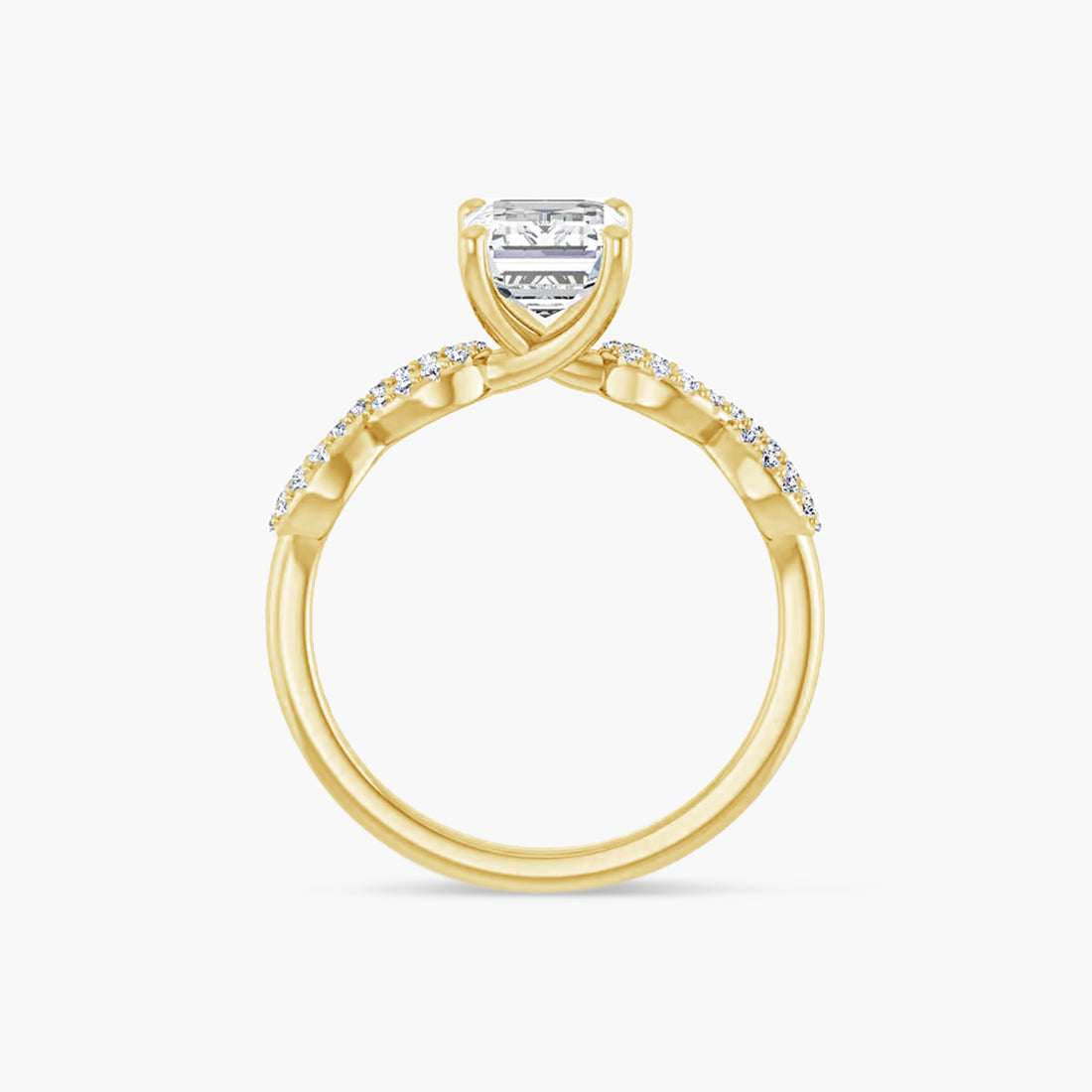The Accented Junia