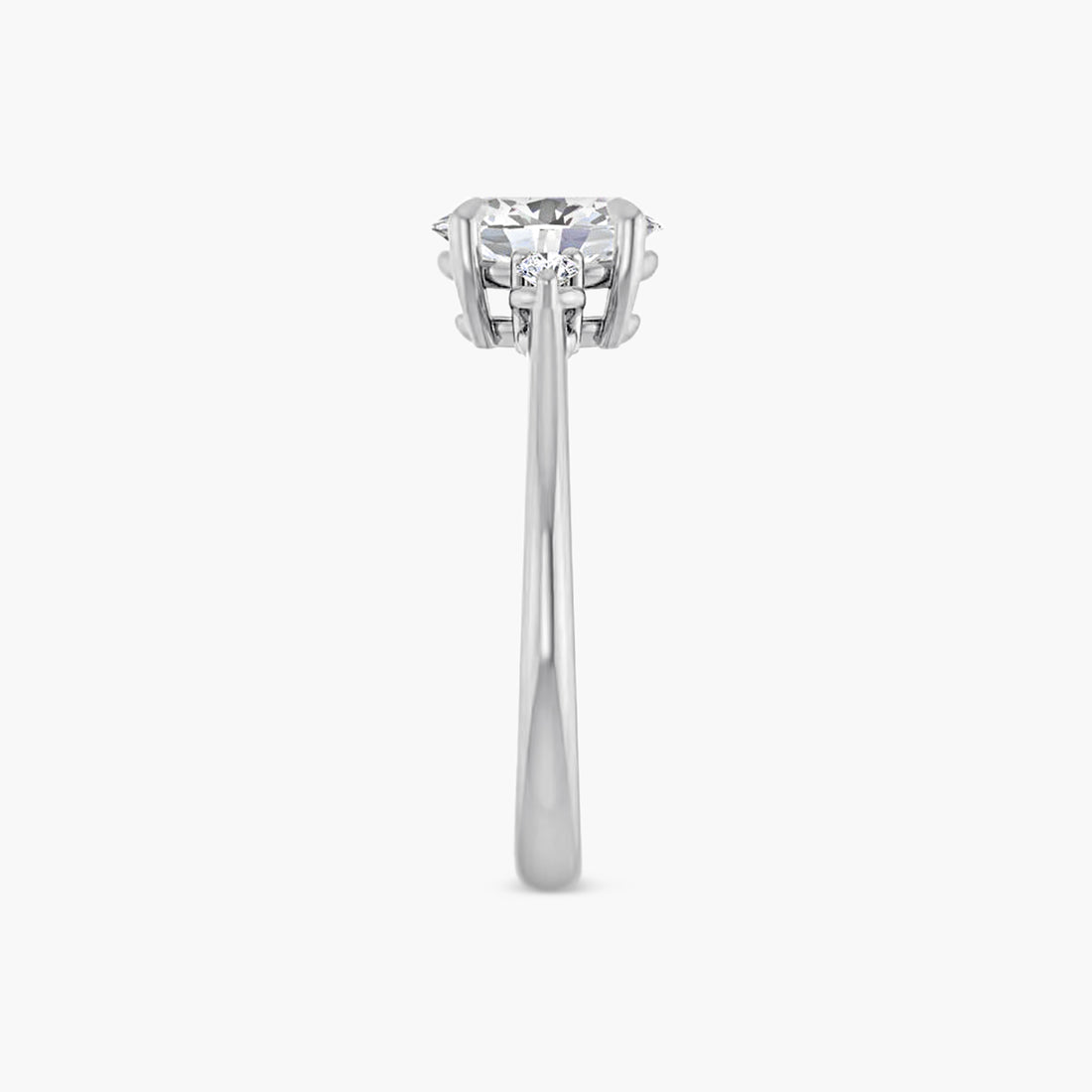The Accented Annelise