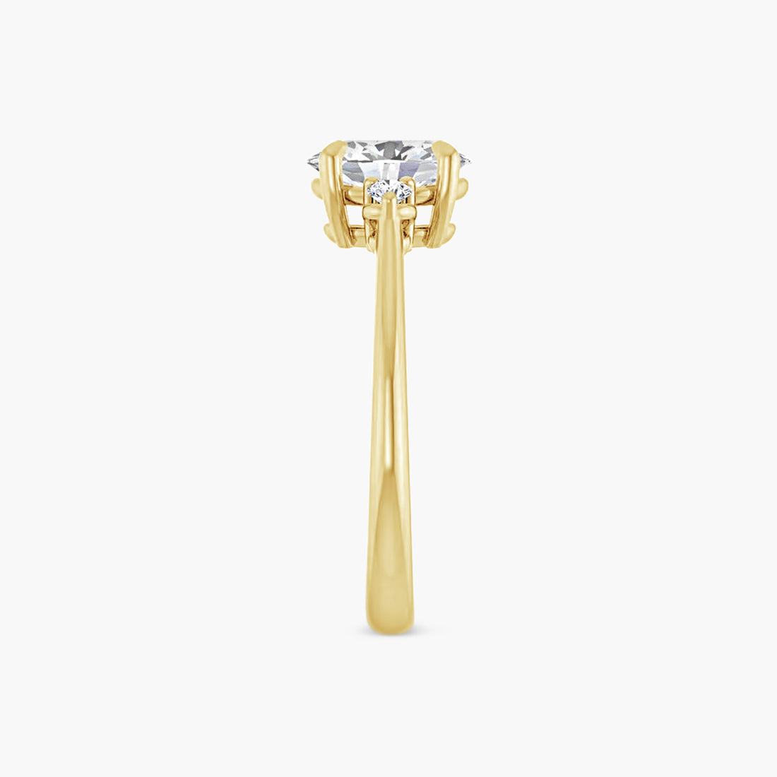The Accented Annelise