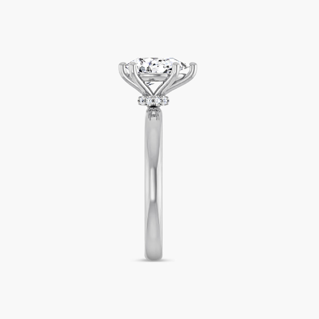 The Solitaire Raya