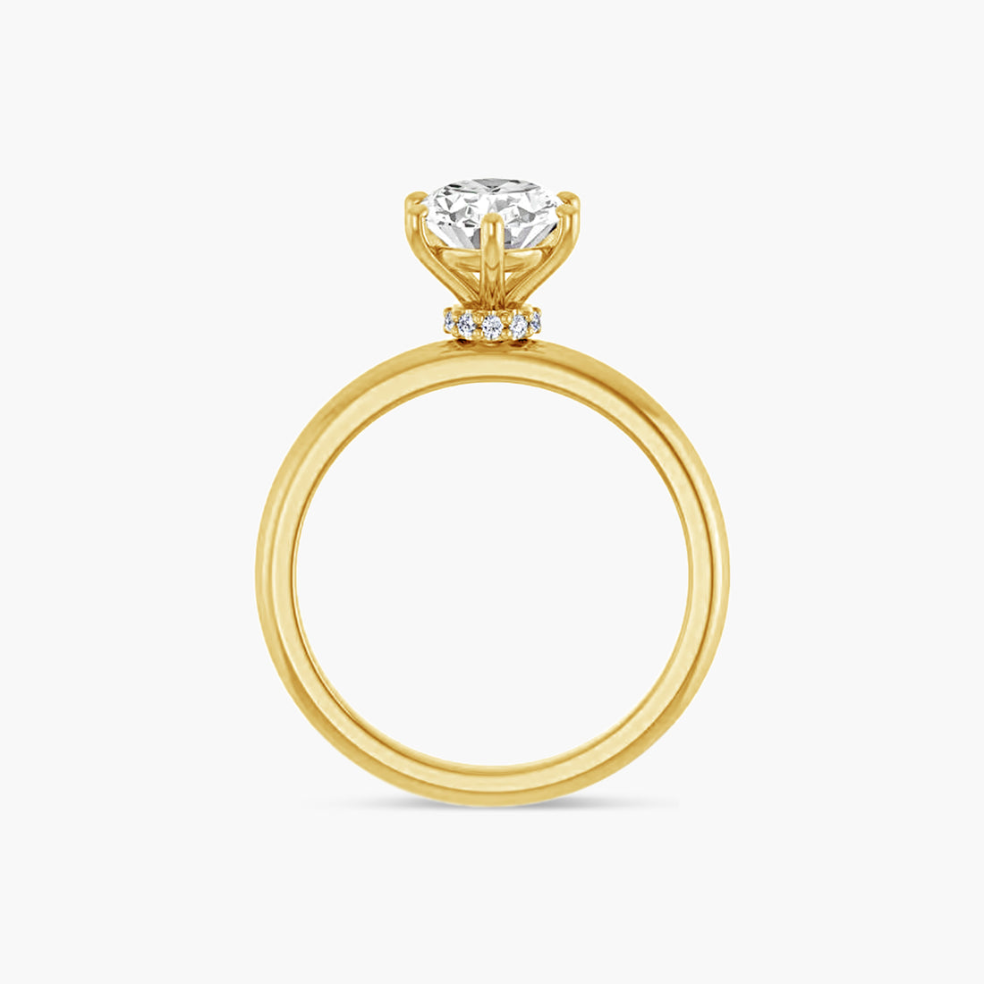 The Solitaire Raya
