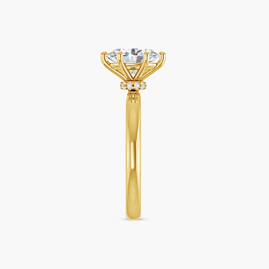The Solitaire Raya