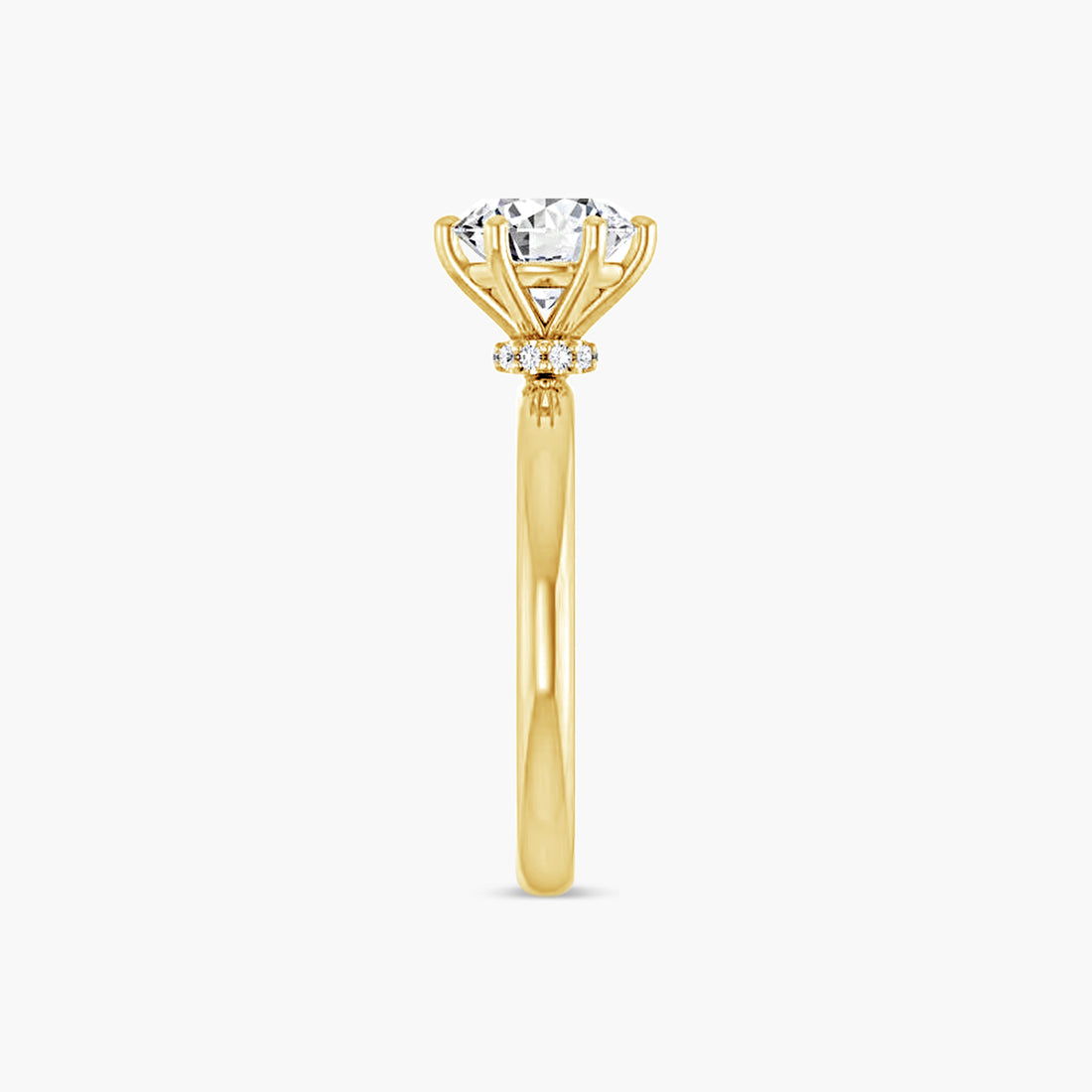 The Solitaire Raya