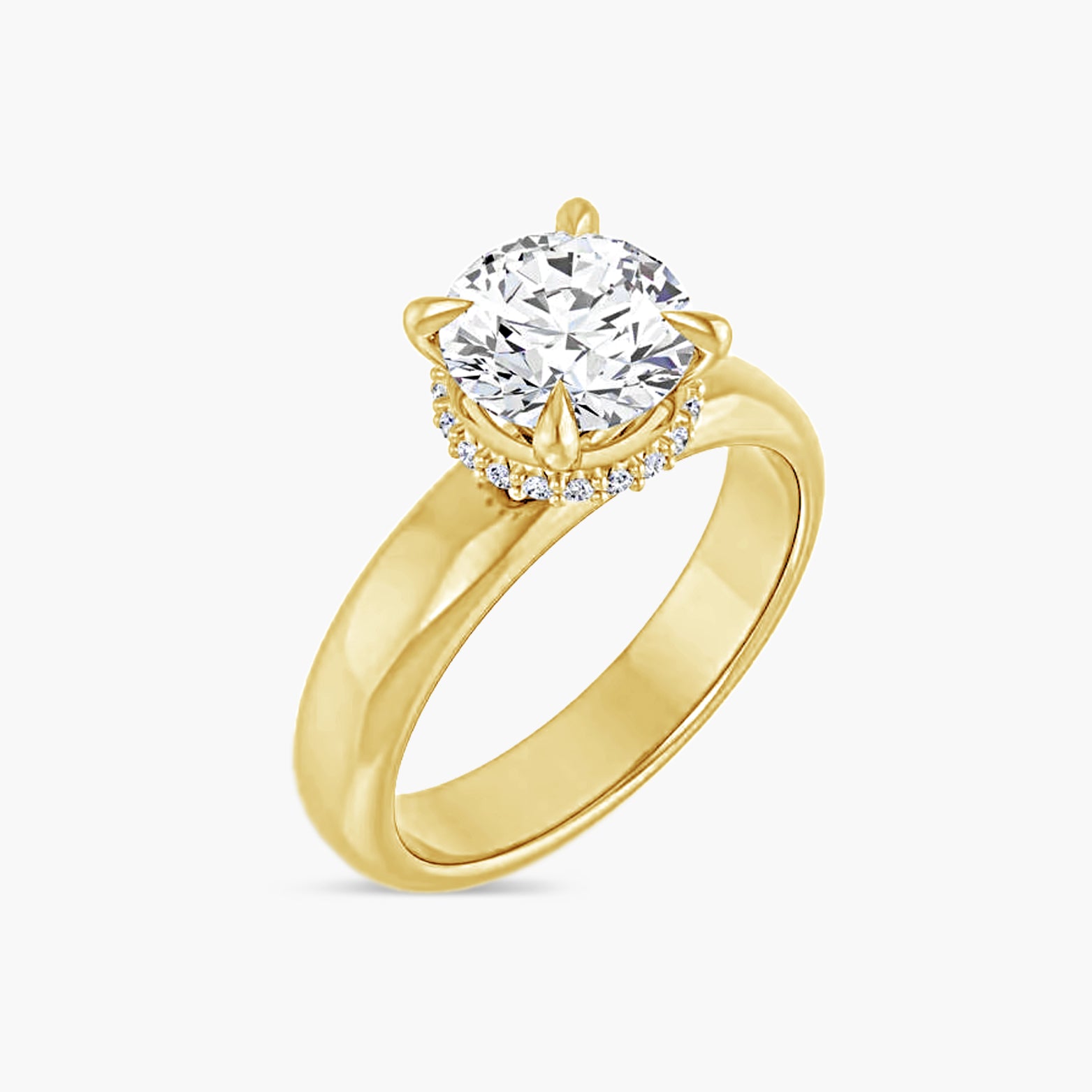 The Hidden Halo Wren