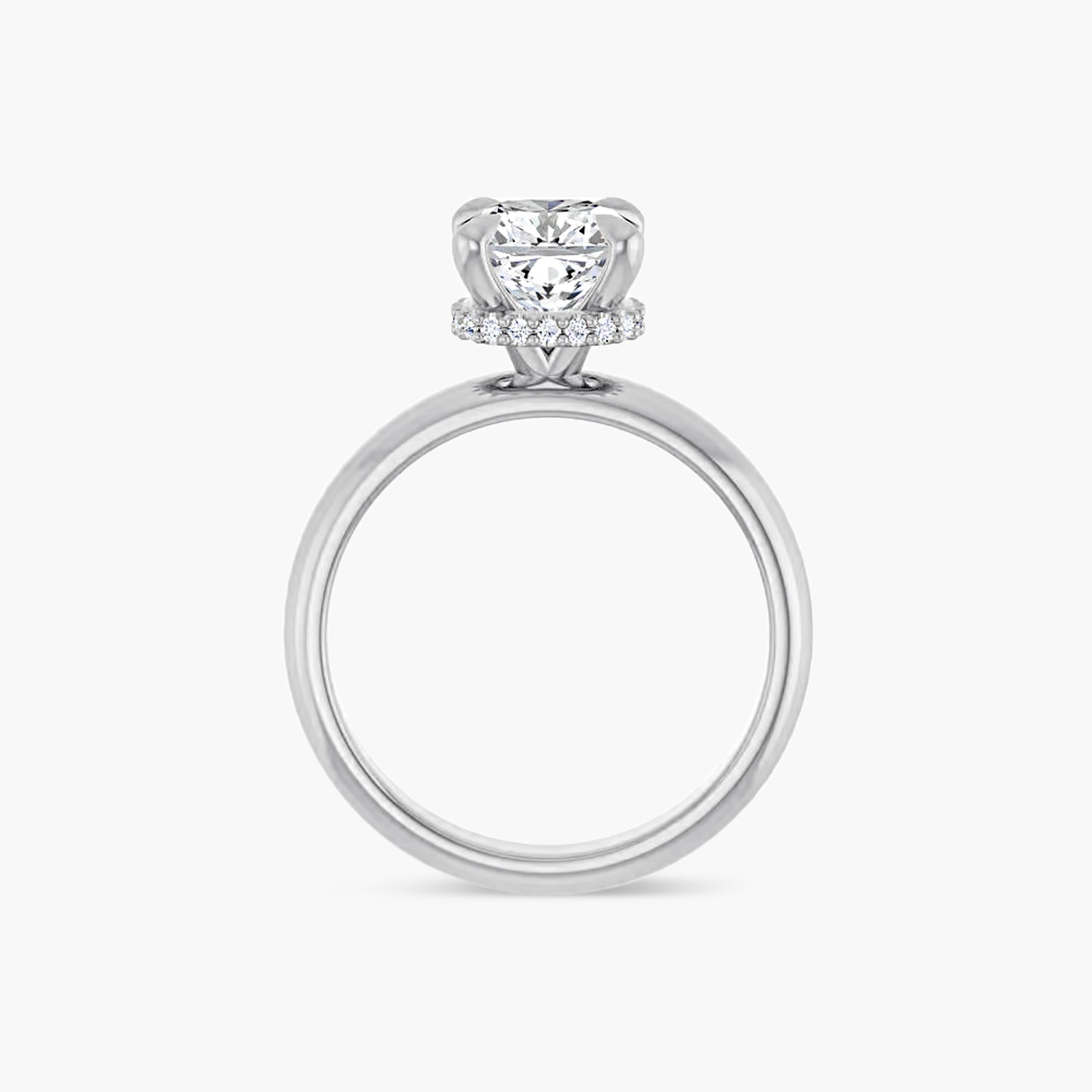 The Hidden Halo Wren