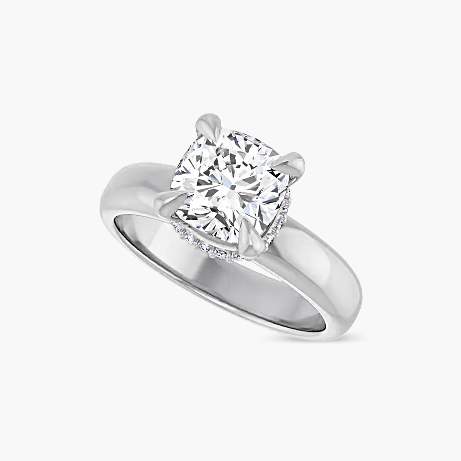 The Hidden Halo Wren