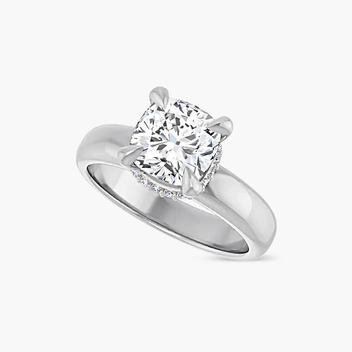 The Hidden Halo Wren  Cushion